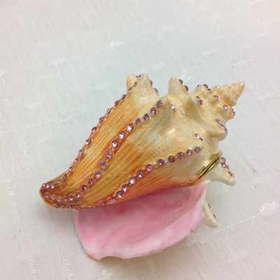 Conch Shell